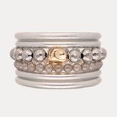 The Silver Evolution 2026 Stack